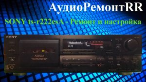SONY TC K222ESA