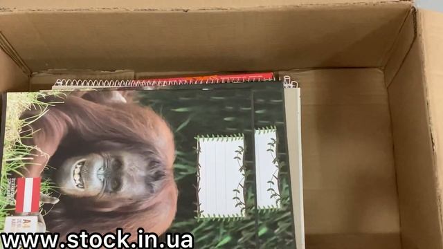 Канцтовары Lidl & Aldi / Lot 3526 смотреть онлайн