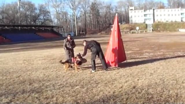 Швальбеннест Чариз 3 смотреть онлайн