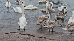 отдых в январе 2025