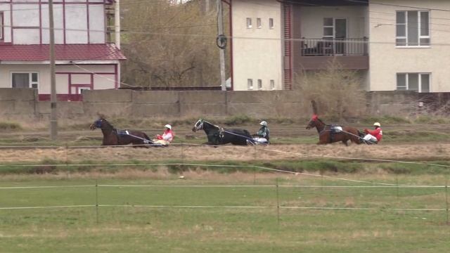 3 Раменский ипподром 23.04.2021 - Кв. з. - Лошади рожд. 2017 г. рысистых пород
