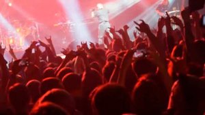 Алиса Колобок Live