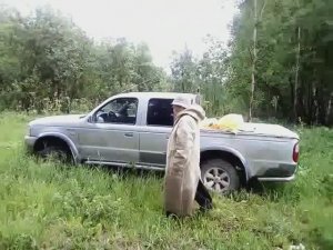 Не грибы так пиканы! Вкусняшка! Борщевик Сибирский. Ачитский район.