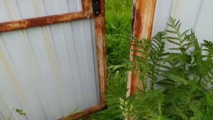 Как крутой аквариумист разводит аквариумных рыб ?