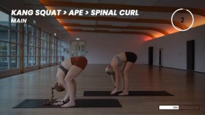 20 Min. Full Body Mobility _ Primal x Animal Style _ Intermediate-Advanced x Julia Reppel