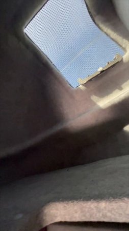 Милота! Лиричное видео об исполнившейся мечте. #shorts