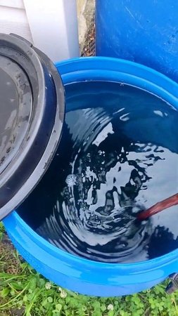СДЕЛАЙТЕ ТАК! БУЙНОЕ ЦВЕТЕНИЕ ОБЕСПЕЧЕНО!  Ссылка на полное видео в описании