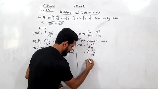 9th math,lect 16,chp#1,Ex:1.5,Quest  (5,6),multiplicative inverse of each other