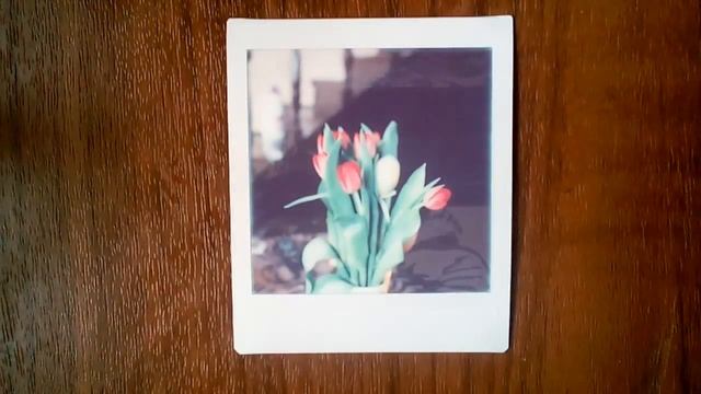 Instax square developing смотреть онлайн