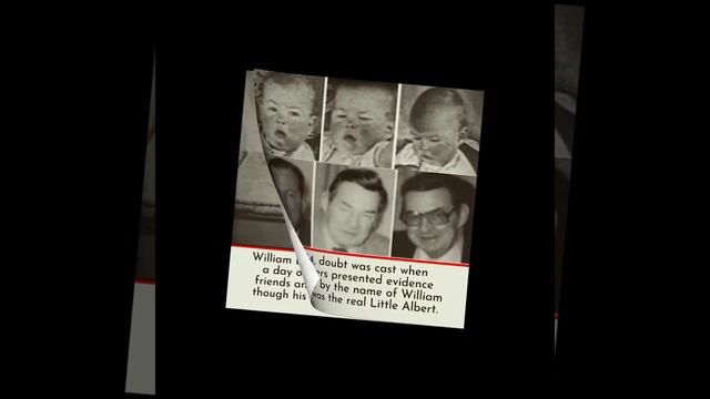 The Story of A Baby Used in Notorious Fear Experiment | Little Albert смотреть онлайн