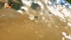 Осторожно, опасные животные  Схватка с медведицей  Атака бегемота. Сезон 3, эпиз4