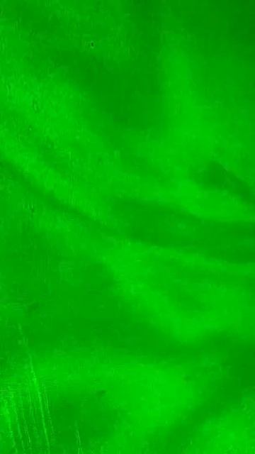 Porcelain rabbit Denisyuk hologram reflected fringe pattern смотреть онлайн