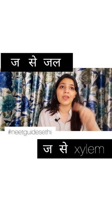 Function of xylem and phloem .#biology  #biologystudents #science #sciencestudents #neet #neet2022