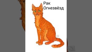 Кто ты из КВ по знаку зодиака #1