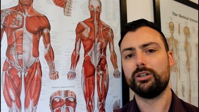 Rotator Cuff Syndrome: Anatomy & Treatment Options #RotatorCuffSyndrome #ShoulderPain смотреть онлайн