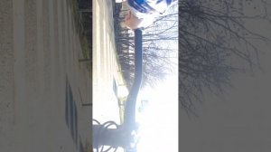 покатушки в памп трек