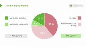 2.02 Cardiac Arrest- Initial Assessment