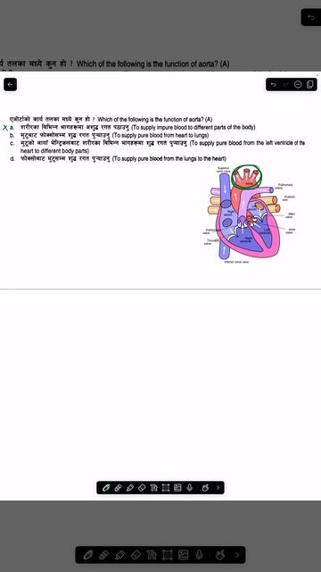 Function of Aorta #aftersee #bridgecoursesuccess #ctevtentranceprep #entrance2081 смотреть онлайн