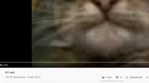 КИТ ТЫ МАМУ МАВ  — ПЕРЕВОД, ПРОИСХОЖДЕНИЕ МЕМА