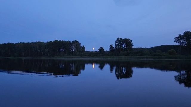 20240816_203458_2 смотреть онлайн