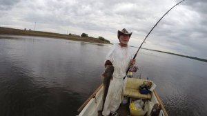 Осетровая снасть на квок!!!! Зацепил трофейную! Волга  Юрий Философ