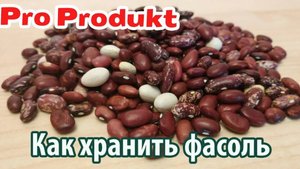 Как хранить фасоль