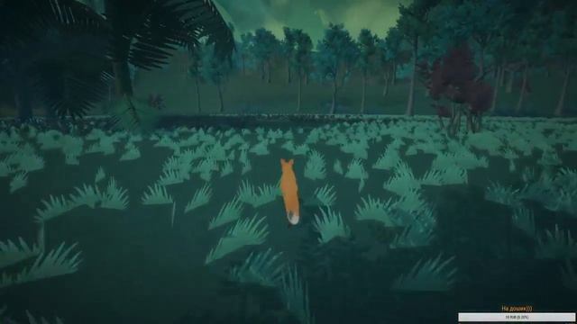 Прямая трансляция пользователя Vector смотреть онлайн