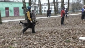 Идущие за Солнцем Эриксон