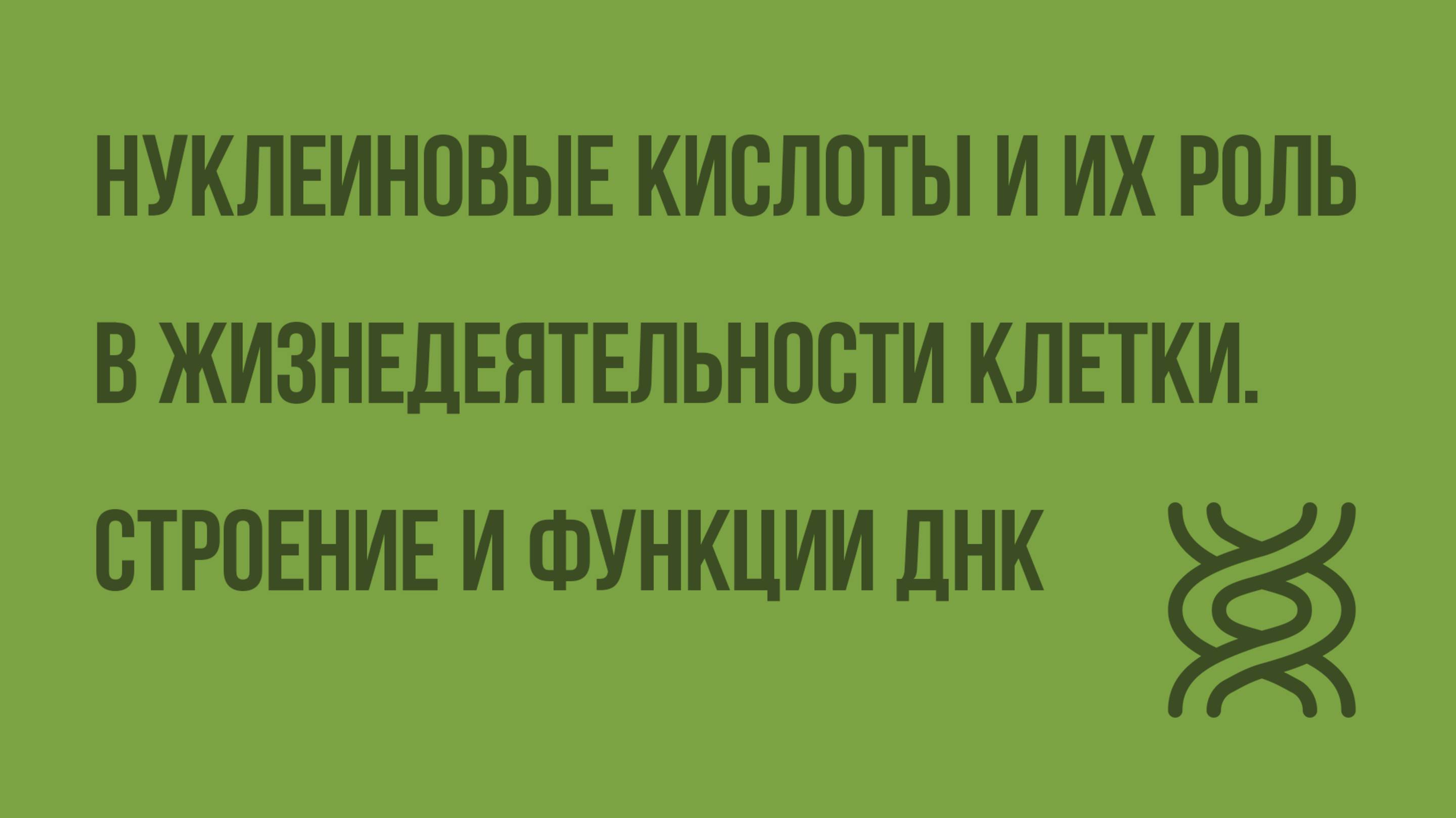 Нуклеиновые кислоты и их роль в жизнедеятельности клетки. Строение и функции ДНК. Видеоурок