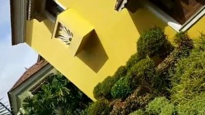 Novotel Goa Candolim , Goa 🏖️🌊 ( Private beach , Swimming pool , Beautiful Rooms and Much More ..