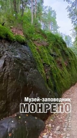 Выборг. Музей-заповедник Монрепо. Тишина сказочного леса. #shorts