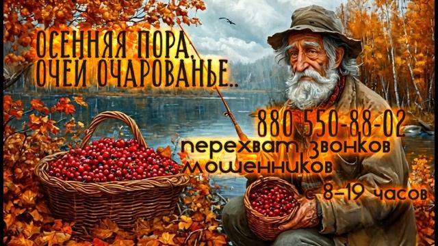 Осенняя пора . Мошенники снова смотреть онлайн