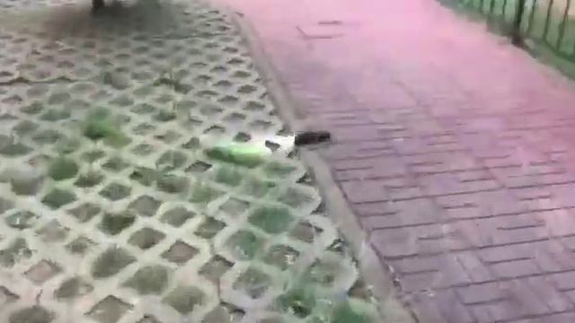 Baretta S400 XHP-90 LED 2500 Lümen El Feneri Dayanıkılık Testi смотреть онлайн