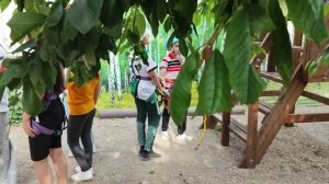 КТО ЭТО СДЕЛАЛ Я ТАКОГО НИКОГДА НЕ ВИДЕЛА! Шиндр Мындр @ShindrMindr_Official