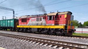 МЕДВЕД! Тепловоз ЧМЭ3 с грузовым поездом