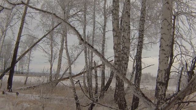 Первый тетерев друга. смотреть онлайн