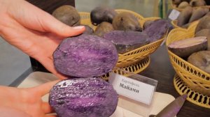 Плюсы и минусы фиолетового картофеля. Спойлер: плюсов больше!