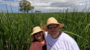 Маврикий. Едем через плантации тростника на самую южную точку острова.