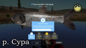 ✮ р. Сура ✮ Редкий трофей. Толстолобик пёстрый ✮ Русская рыбалка 4 ✮