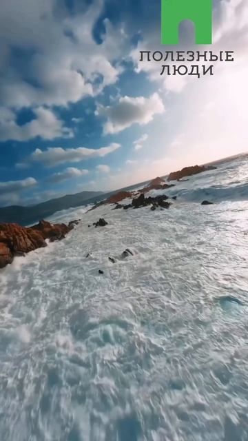 У моря Крыма. Полезные Люди.mp4