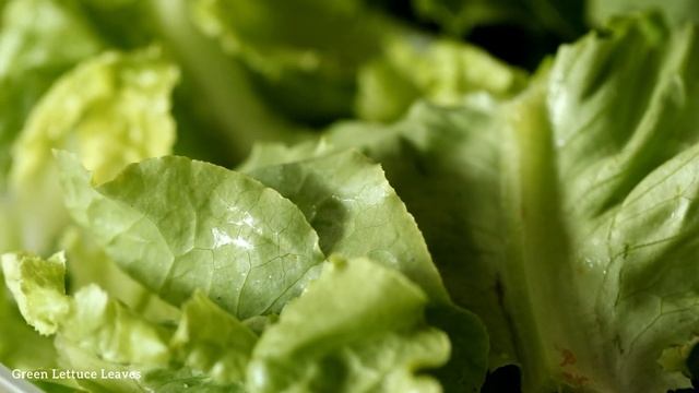 World : Extreme Closely - 12K ULTRA HD HDR - Relaxing Macro World (60 FPS) смотреть онлайн