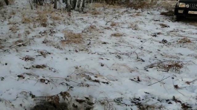 5 смотреть онлайн