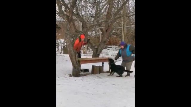 Куба Хаус Минг, 1 год смотреть онлайн