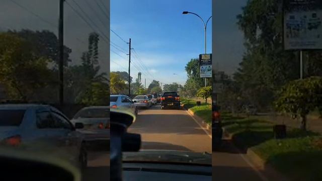 Market Tuesday - Systems control everything смотреть онлайн