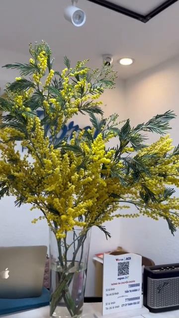 Hoa Mimosa đáng iu lại còn thơm #19floral #florist #hoatuoi #tiemhoasaigon смотреть онлайн