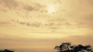 Суровые обличения старца, обидные для добровольных глупцов