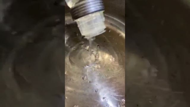 Качка. Рецепт БОМБА-ПІТАРДА дивись смотреть онлайн