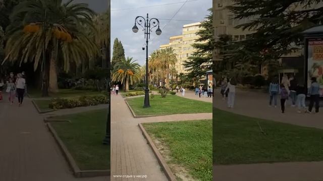 Сочи 2022 улица Навагинская