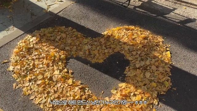 vlog_소금이와 함께 하는 가을 일상_용산 인테리어 소품샵 2곳 추천_소품 쇼핑 언박싱_ 황금향 공구
