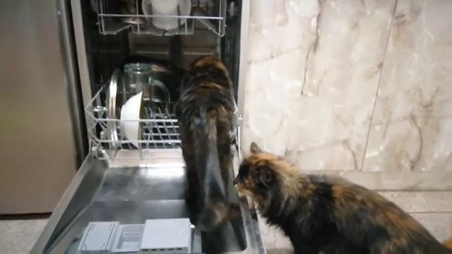 дополнительная функция в посудомойке смотреть онлайн